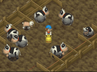 Harvest Moon 64